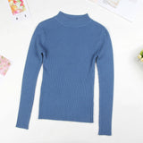 2019 Fall New Women Turtleneck Sweater