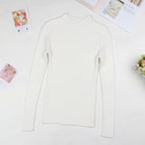 2019 Fall New Women Turtleneck Sweater