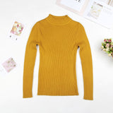 2019 Fall New Women Turtleneck Sweater