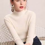 2019 Fall New Women Turtleneck Sweater